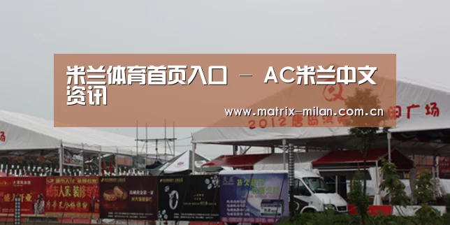 案例标题十