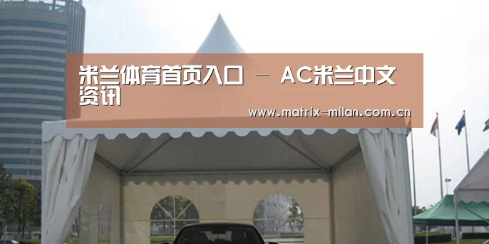 案例标题八